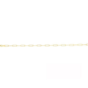 10kt Yellow Gold Paperclip Bracelet