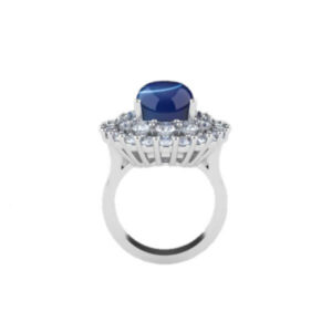 14kt White Gold Ring Featuring Oval Cut Star Sapphire in the Centre and Round Brilliant Cut Diamonds in the ring’s Halos